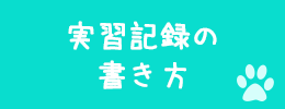 看護師実習記録の書き方