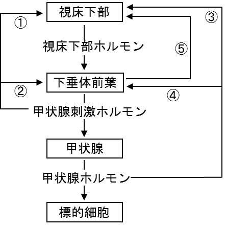 バセドウ病