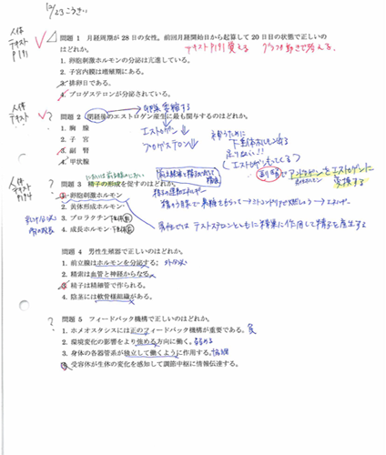p3.png