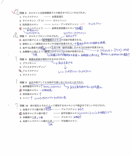 p2.png