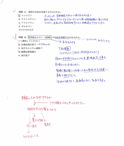 p1.png